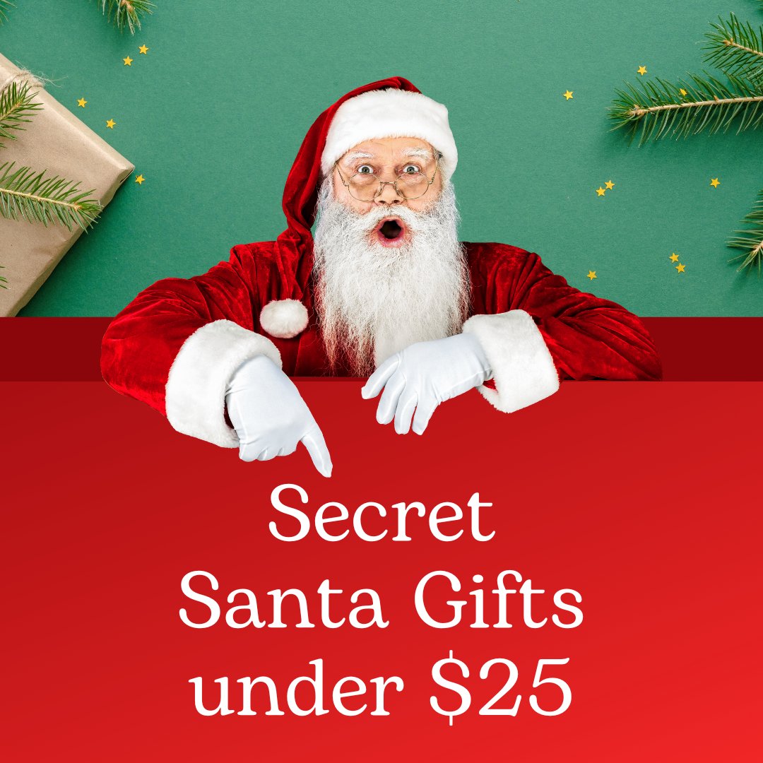 Secret Santa Gifts under $25